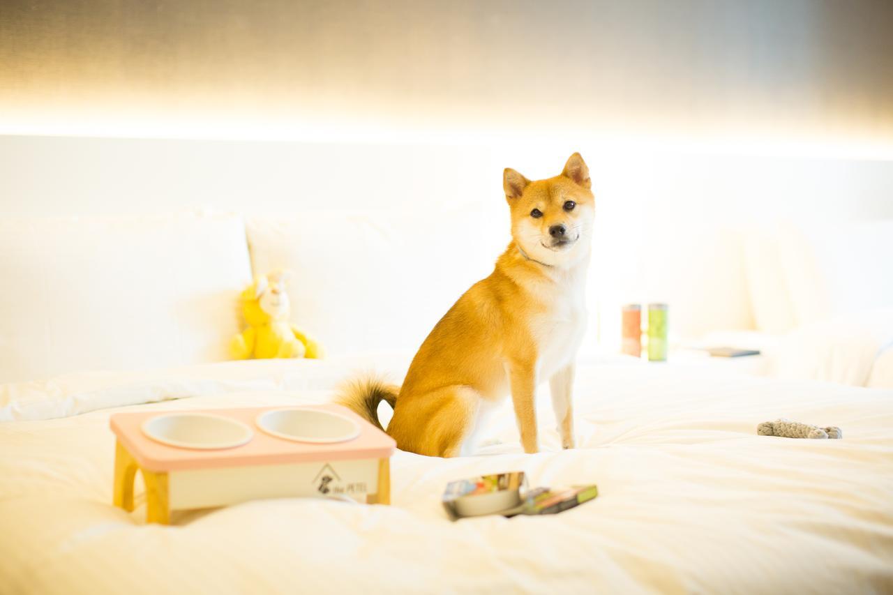 The Petel Premium Suite Busan Ngoại thất bức ảnh