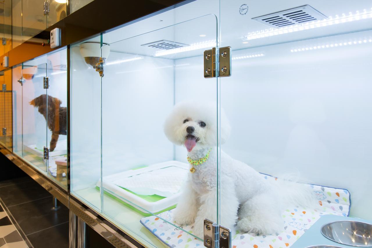 The Petel Premium Suite Busan Ngoại thất bức ảnh